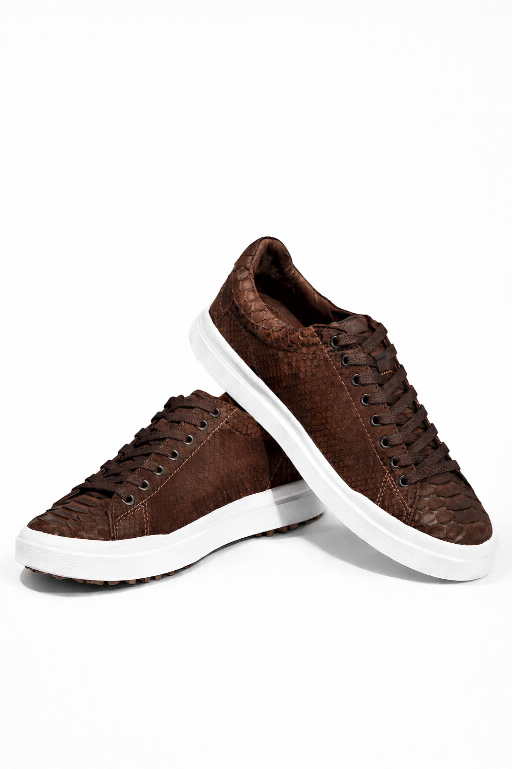 Tenis de python completos cafe