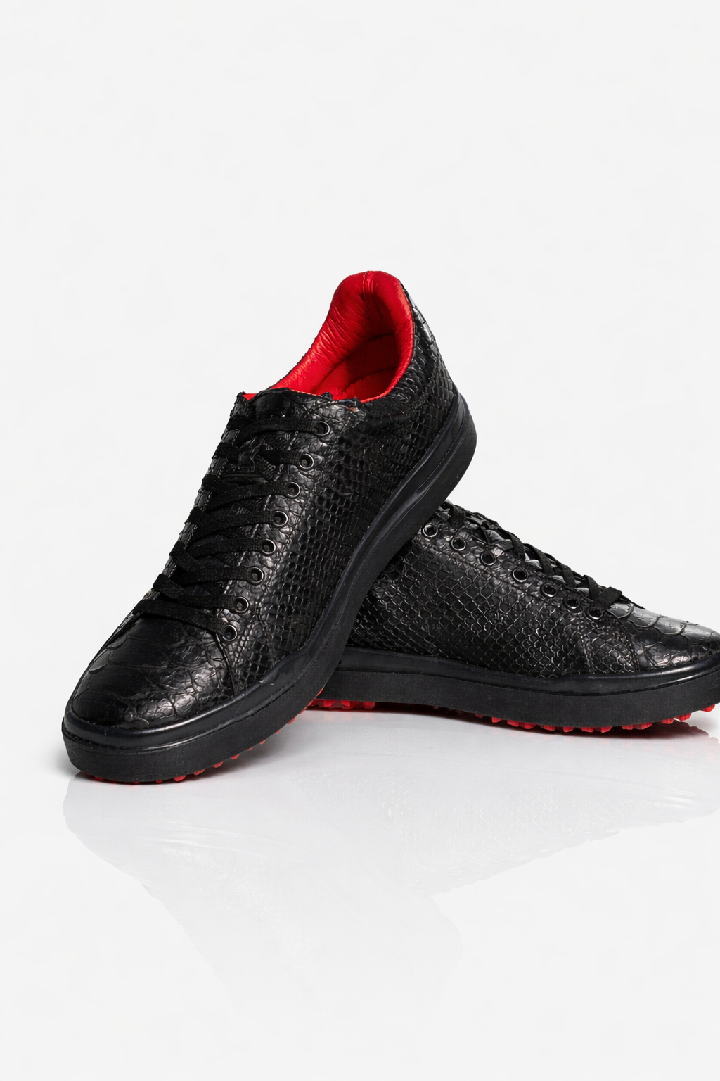 Tenis de python completos