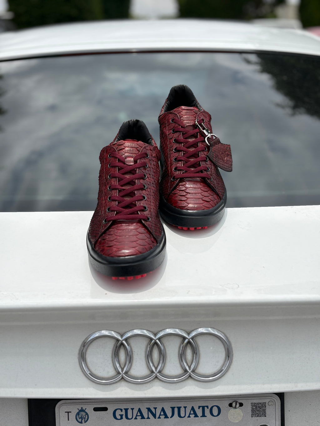 TENIS DE PYTHON ROJOS